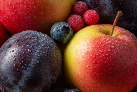 Exklusiv: Neue frostbeständige Sorten aus Lettland | Ankündigung