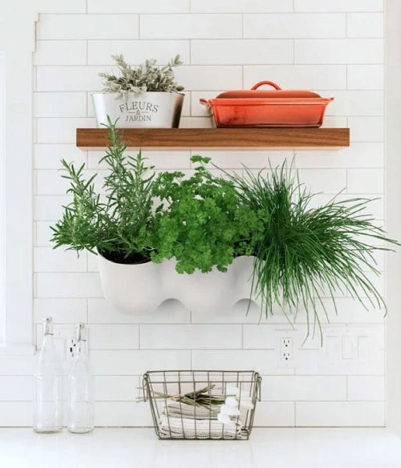 Blumentopf ZS1-W01 - Tutifruti SK