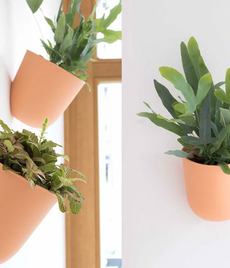 Blumentopf ZS1-W01 - Tutifruti SK