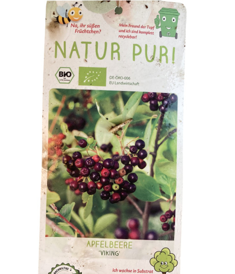 Bio Apfelbeeren (Aronia melanocarpa) VIKING - Tutifruti SK