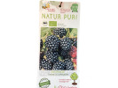 Bio Brombeere (Rubus fruticosus) THORNLESS EVERGREEN - Tutifruti SK