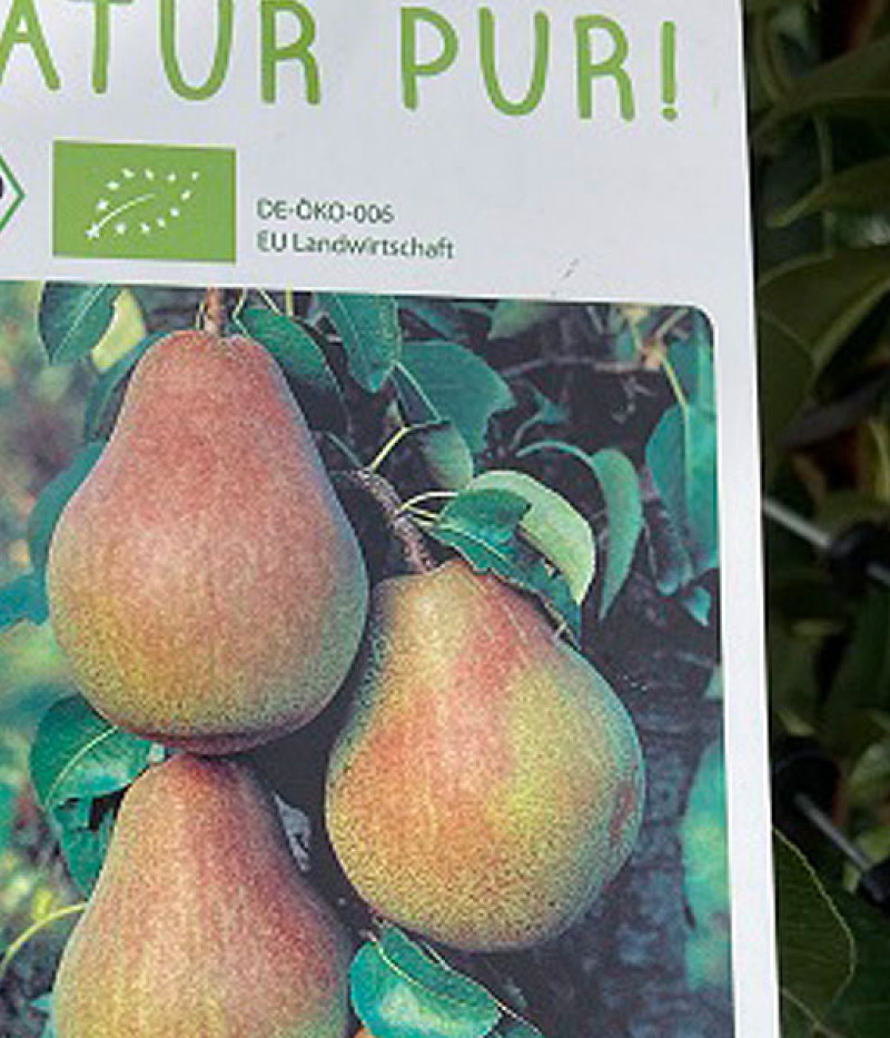 BIO Säulenbirne AROMA SPUR GELB-ROT - Tutifruti SK