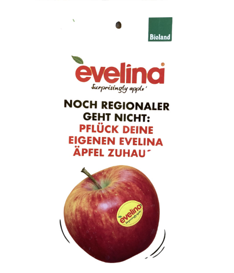 BIO Apfelbaum (Malus domestica) EVELINA - Tutifruti SK