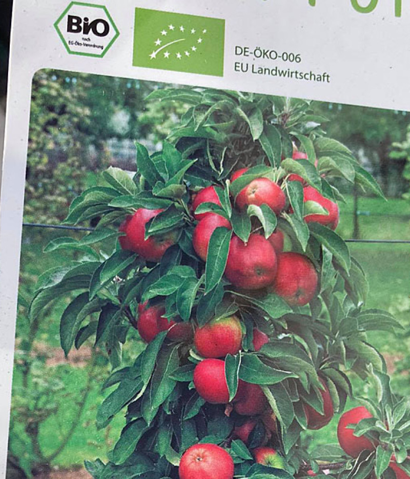 BIO Säulenapfel AROMA SPUR BLACK MC INTOSH - Tutifruti SK