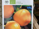 BIO Persimmon (Diospyros kaki) ROJO BRILLANTE - Tutifruti SK